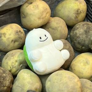 부기