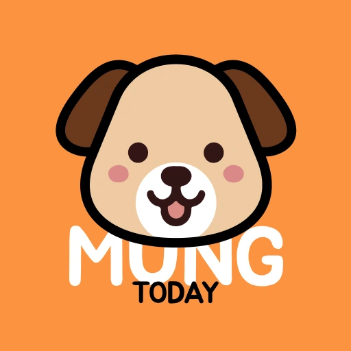 멍투데이 썸네일