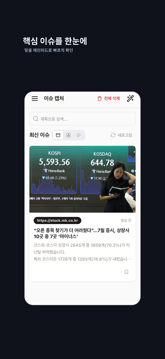 이슈 캡처 스크린샷 다음